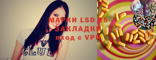 шишки Покачи