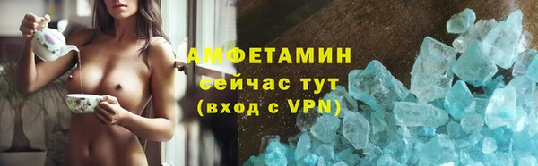 шишки Покачи