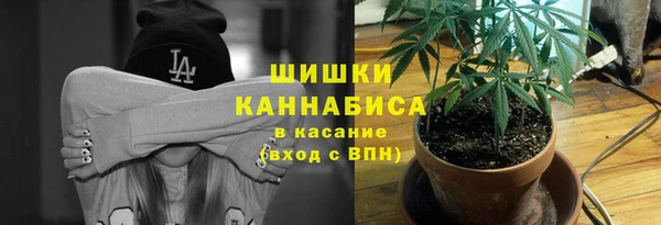 шишки Покачи
