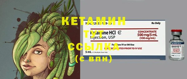 шишки Покачи