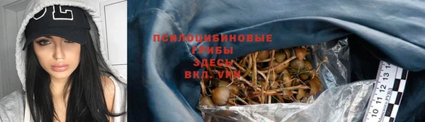 крисы Покровск