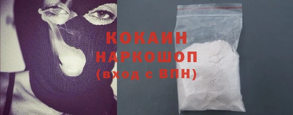 шишки Покачи