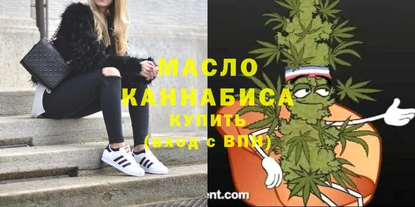 шишки Покачи