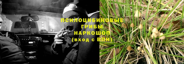 шишки Покачи