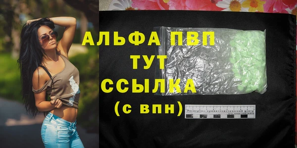шишки Покачи