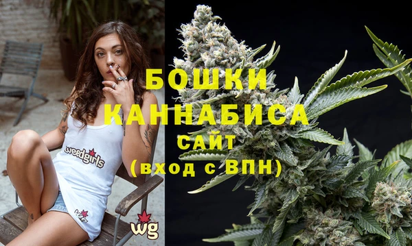 шишки Покачи