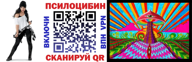 Купить закладки  Североуральск  Псилоцибиновые грибы прущие грибы 